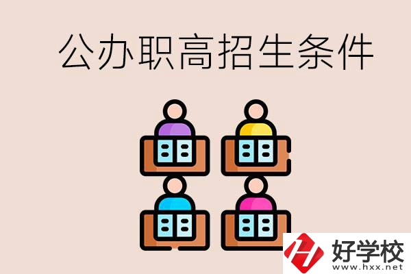 邵陽市有哪些公辦職高？學校的招生條件是什么？