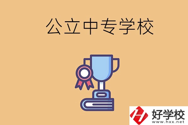 常德的公立中專學(xué)校有哪些？有什么特色？