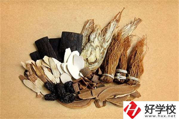 在湘西學(xué)中草藥栽培怎么樣？開設(shè)此專業(yè)的學(xué)校有哪些？