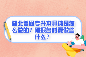 湖北普通專升本具體是怎么做的？剛報名時要做些什么？