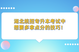 湖北統(tǒng)招專升本的學歷和本科學歷考公務員一樣嗎？