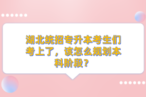 湖北統(tǒng)招專升本考生們考上了，該怎么規(guī)劃本科階段？