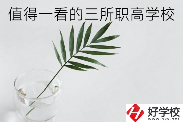 湖南有什么好的職高學(xué)校？這3所學(xué)校值得一看！