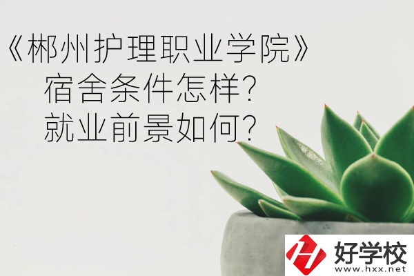 郴州護理職業(yè)學(xué)院宿舍條件怎樣？就業(yè)前景如何？