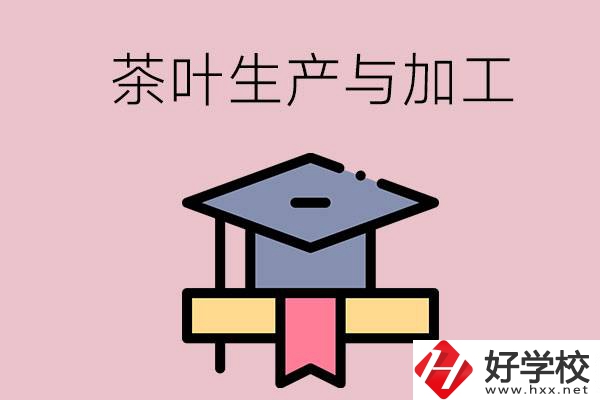 湖南哪些技校開設了茶葉生產(chǎn)與加工專業(yè)？