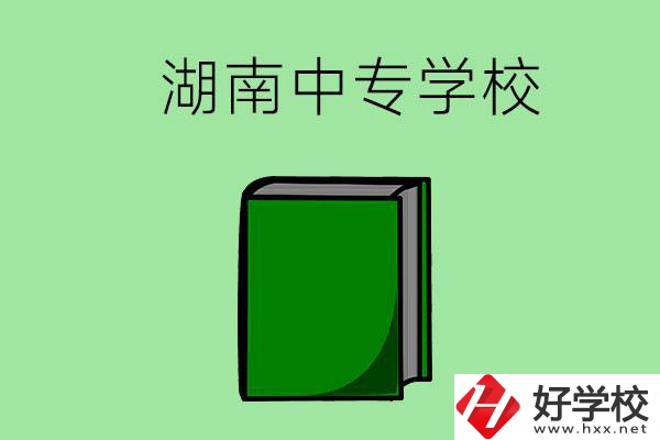 湖南的中專學(xué)校有哪些？都開(kāi)設(shè)了哪些專業(yè)？