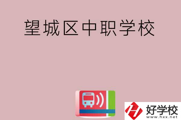 長沙望城區(qū)有哪些中職學校？