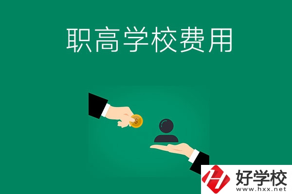 上懷化的公立職高學(xué)校要多少費(fèi)用？