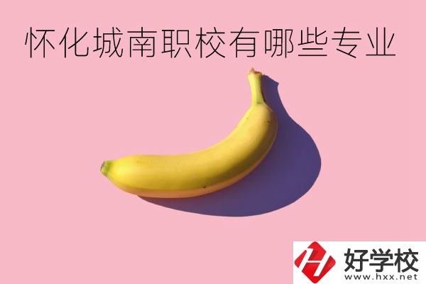 懷化城南職業(yè)學(xué)校有哪些專業(yè)？學(xué)校好不好？