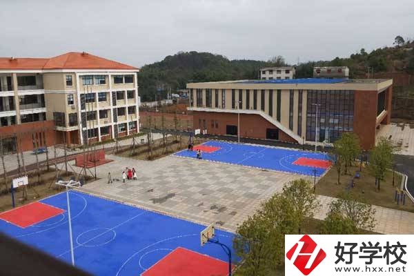株洲市特殊教育學(xué)校是所怎樣的學(xué)校?有哪些榮譽(yù)？