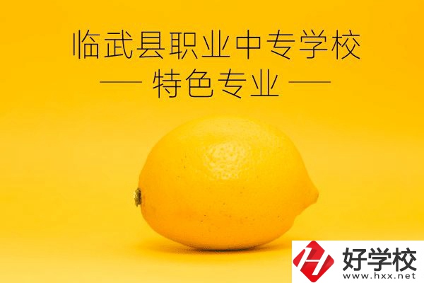 臨武縣職業(yè)中專學校好嗎？有哪些特色專業(yè)？