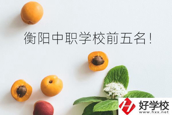 衡陽(yáng)中職學(xué)校前五名！你選對(duì)了嗎？