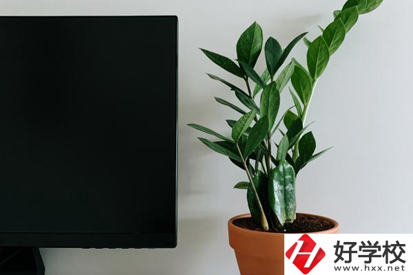 岳陽市網(wǎng)絡工程職業(yè)技術學校有哪些熱門專業(yè)？