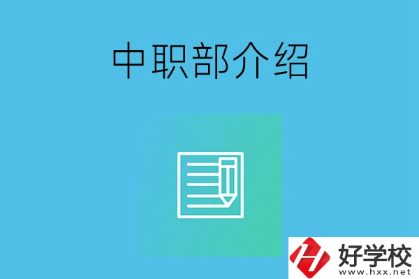 湘潭院校中職部介紹，這幾所學(xué)校你知道嗎？