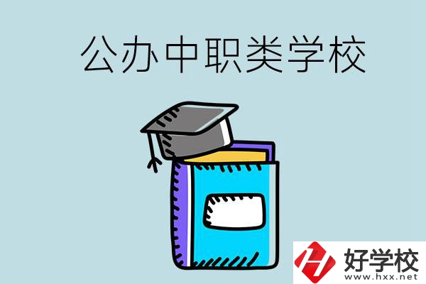 湘西的公辦中職類學(xué)校一共有多少所？