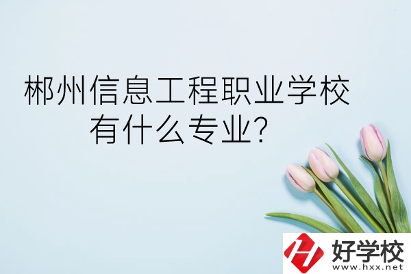 郴州信息工程職業(yè)學(xué)校有什么專業(yè)？