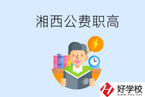 湘西公費(fèi)的職高學(xué)校有幾所？還有其它什么費(fèi)用？