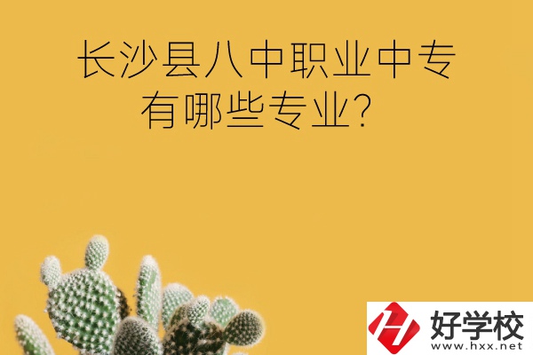 長沙縣八中職業(yè)中專好不好？有哪些專業(yè)？