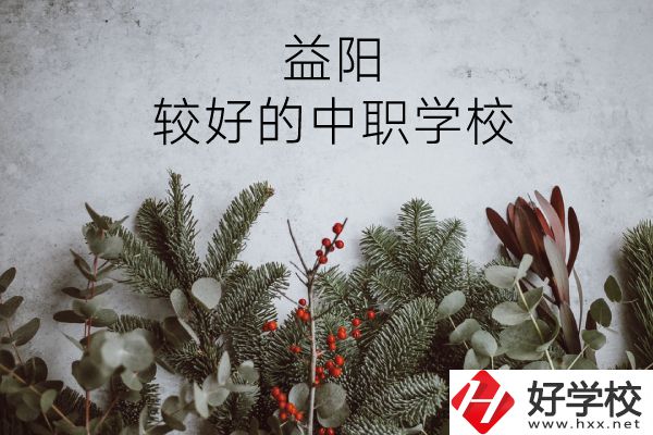 益陽有哪些中職學(xué)校比較好？