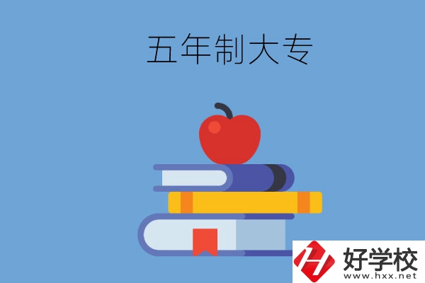 長沙開設(shè)教育類專業(yè)的五年制大專有哪些？