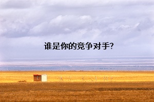誰是你的競(jìng)爭(zhēng)對(duì)手？