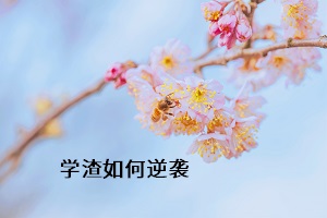 學渣如何逆襲