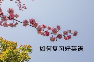 如何復(fù)習(xí)好英語(yǔ)