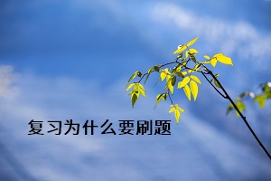 復習為什么要刷題
