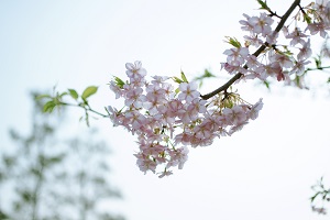 調(diào)整學習方式