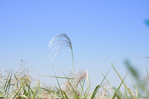 調整心理狀態(tài)