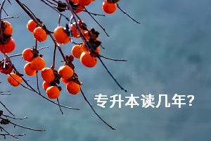 專升本讀幾年？