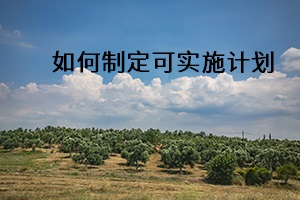 如何制定可實施計劃
