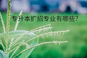 專升本擴(kuò)招專業(yè)有哪些？