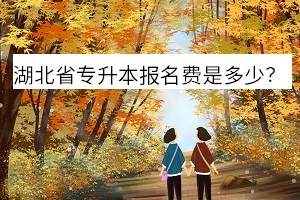 湖北省專升本報名費(fèi)是多少