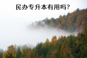民辦專升本有用嗎？