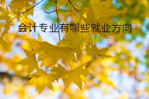 會(huì)計(jì)專業(yè)有哪些就業(yè)方向