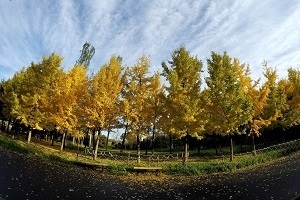 大專第三年才開始準(zhǔn)備普通專升本考試來得及嗎？該如何備考？