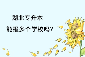 湖北專升本能報(bào)多個(gè)學(xué)習(xí)嗎？