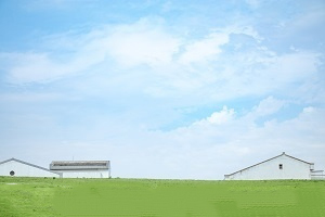 普通專(zhuān)升本招生對(duì)象及考試機(jī)會(huì)