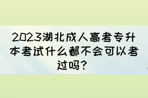 2023湖北成人高考專升本考試什么都不會可以考過嗎？